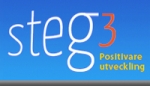 Ntverket Steg 3